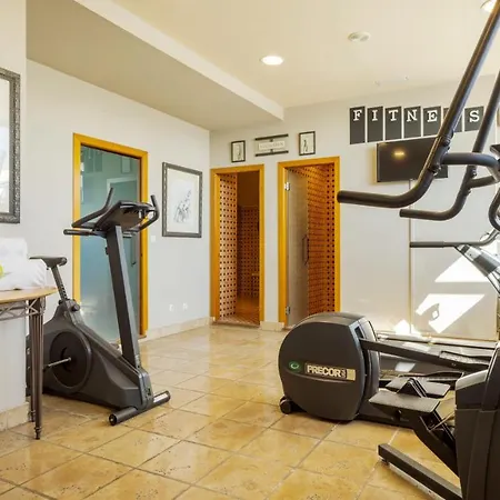 Hotell Ilunion Palace Mérida