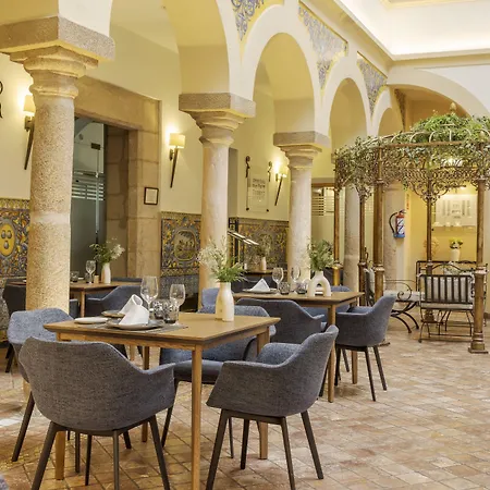 Ilunion Palace فندق ميريذا