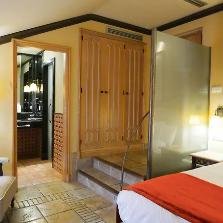 Hotel Ilunion Palace Mérida